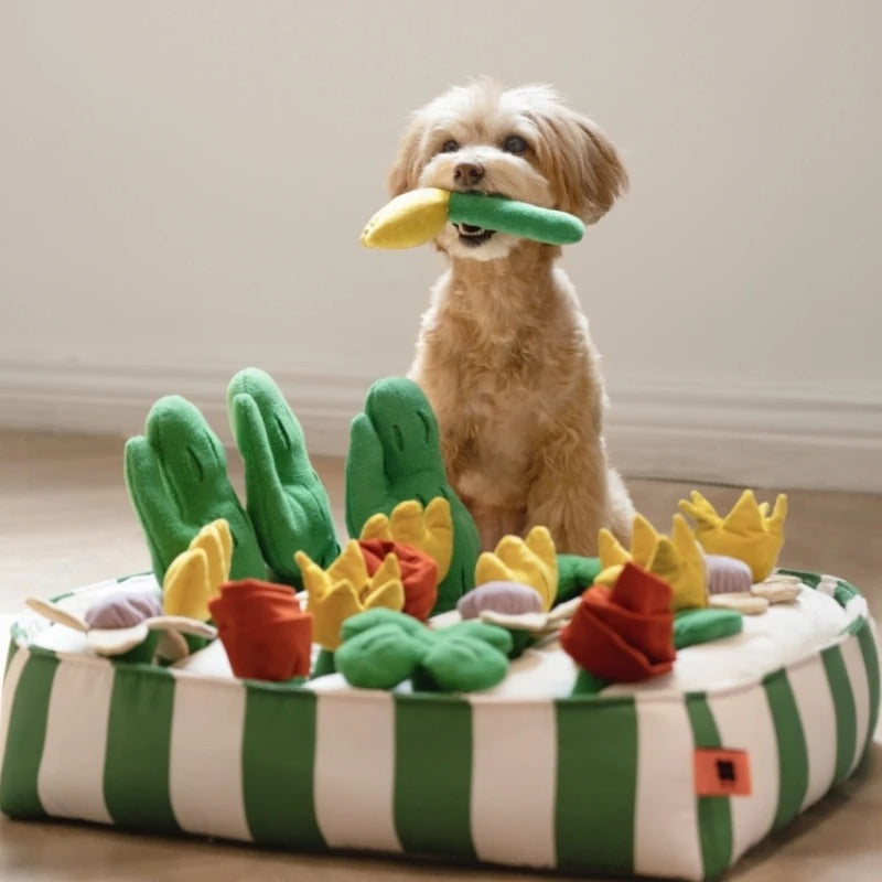 Le Smell Garden - Snuffle Mat Toy Set