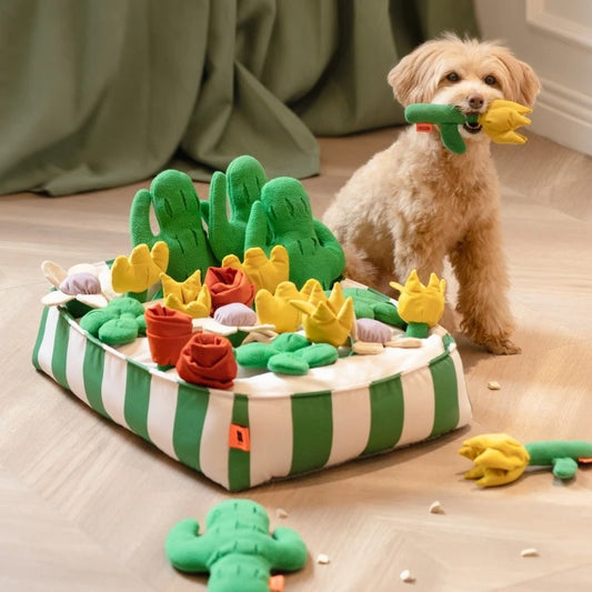 Le Smell Garden - Snuffle Mat Toy Set